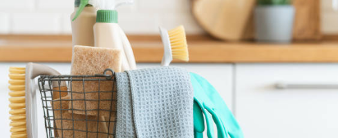 List of Perfect Bathroom Cleaning Tools
