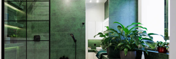 Make the bathroom your second garden: the harmonious coexistence of plants and water features
